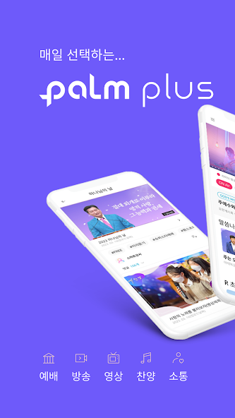 PALM PLUS
