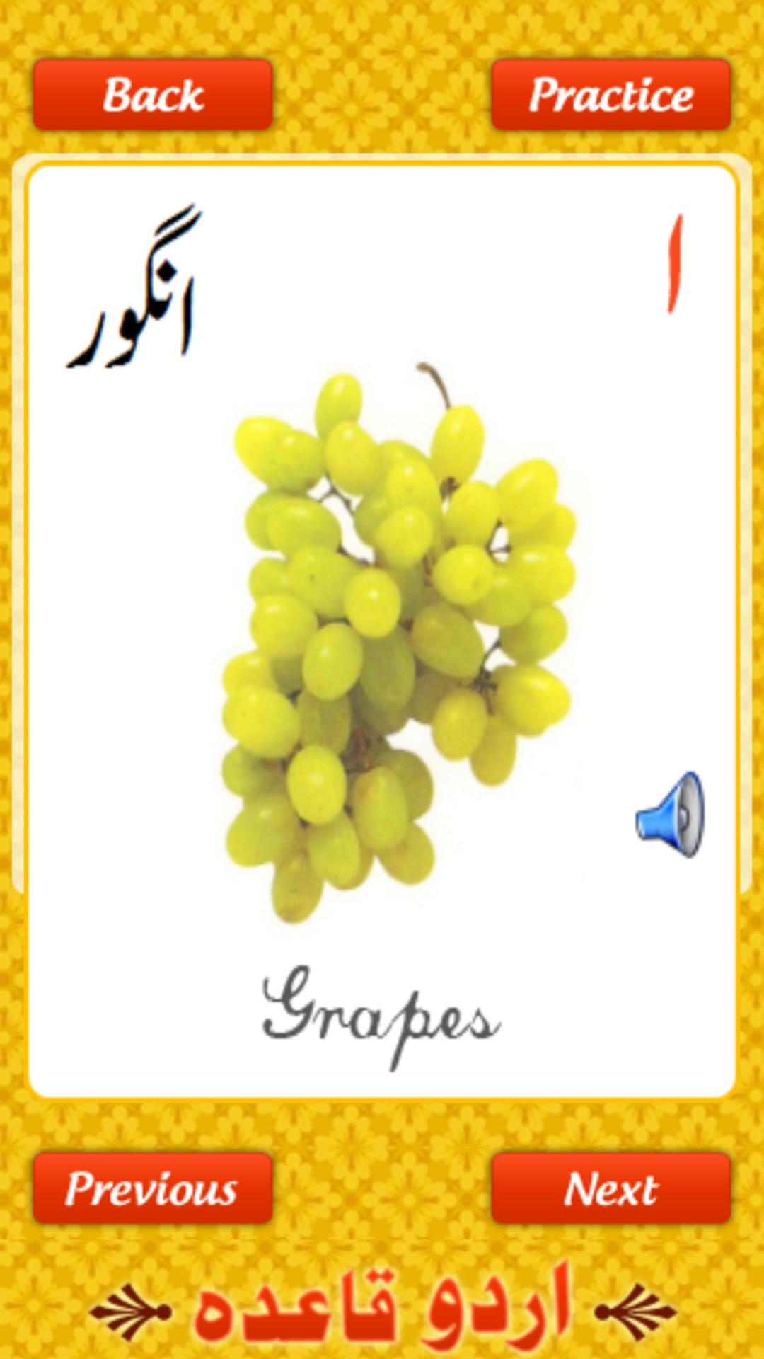 Urdu Qaida