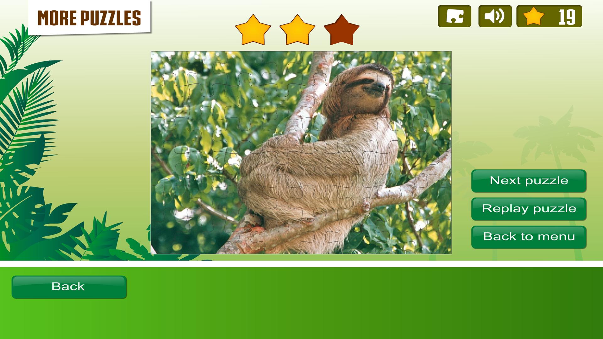 Rainforest Animals Puzzle