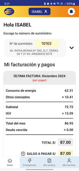 Luz del Sur