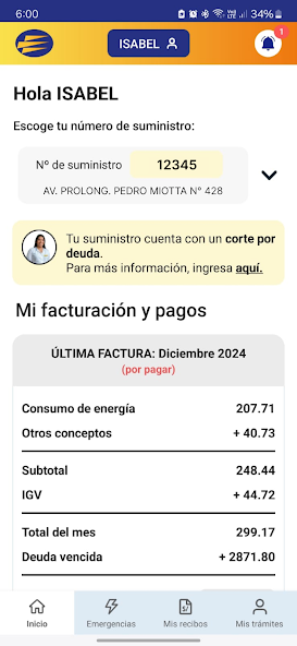Luz del Sur