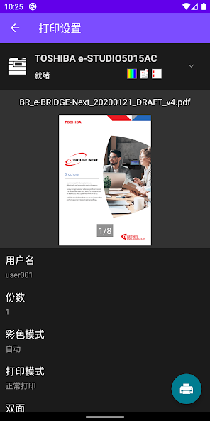 e-BRIDGE Print & Capture Lite