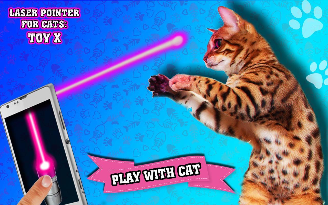 Laser pointer for cats: Toy X