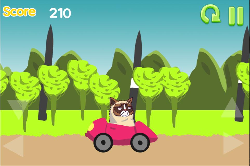 Grumpy Cat Drive