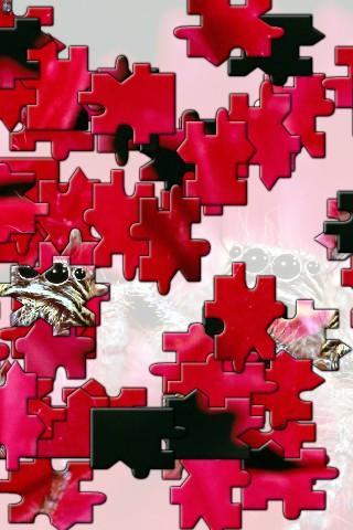 Apple Jigsaw Puzzle