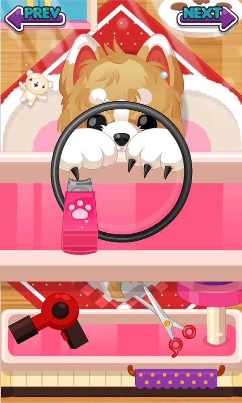 Judy's Pet Care - Girls Game