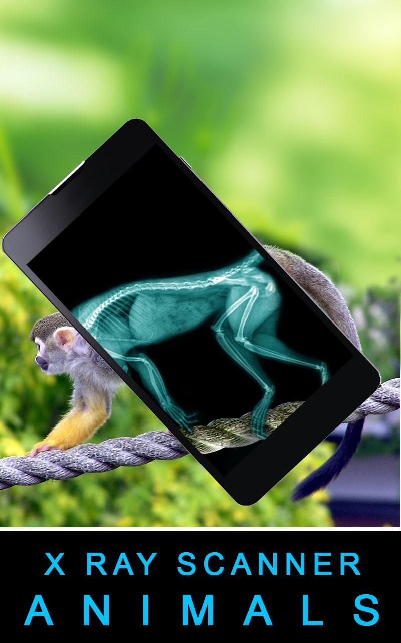 Xray Scanner Animals Prank