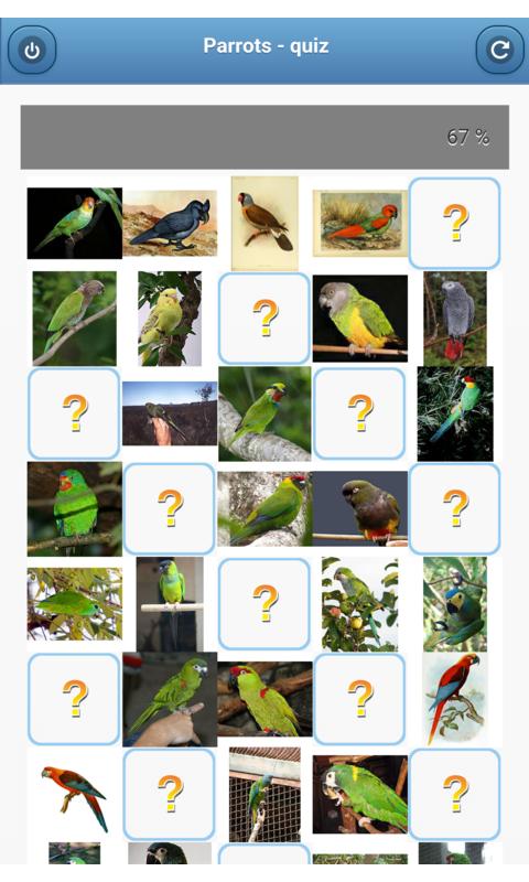 Parrots - quiz