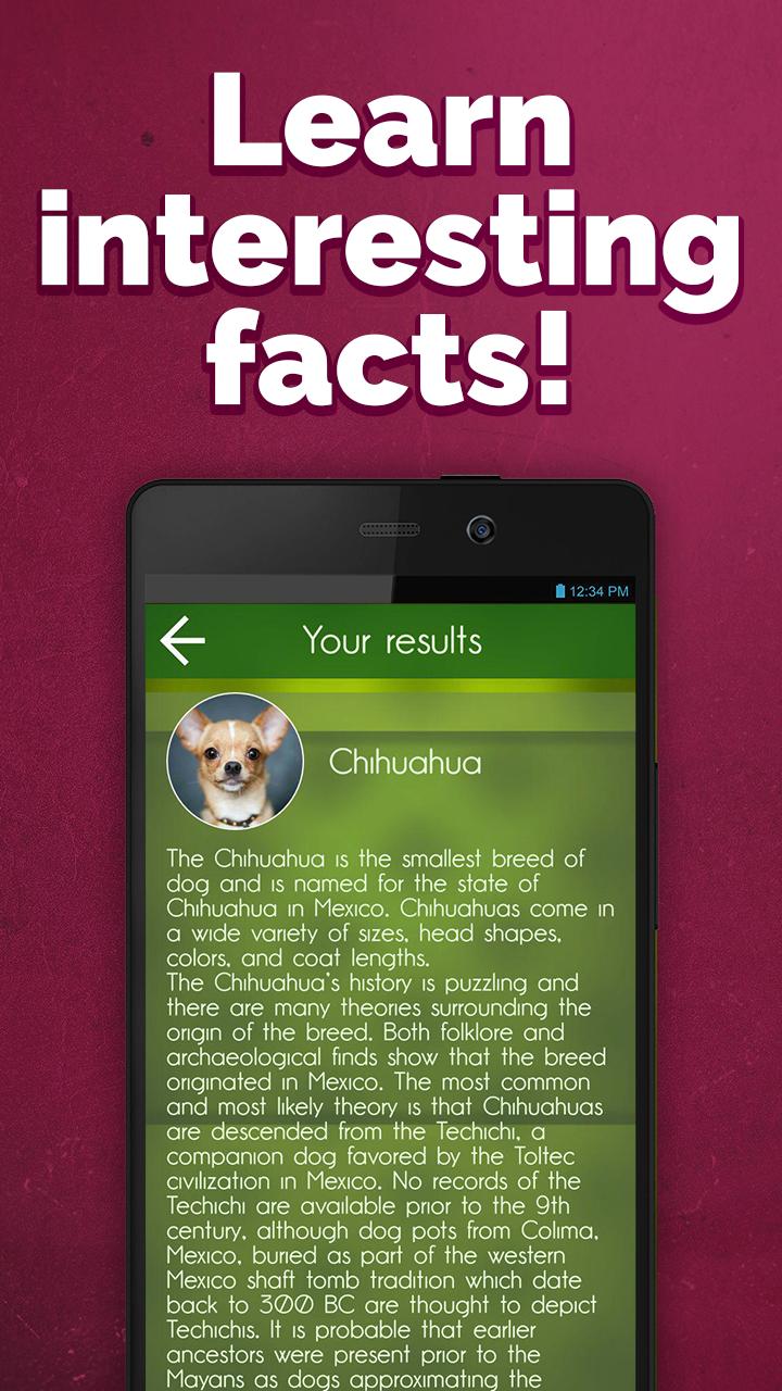 What dog am I simulator