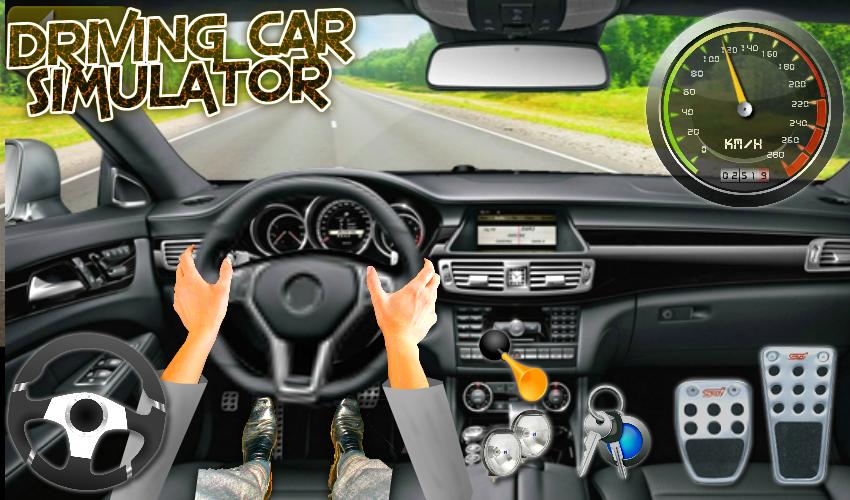 Driving Car Simulator