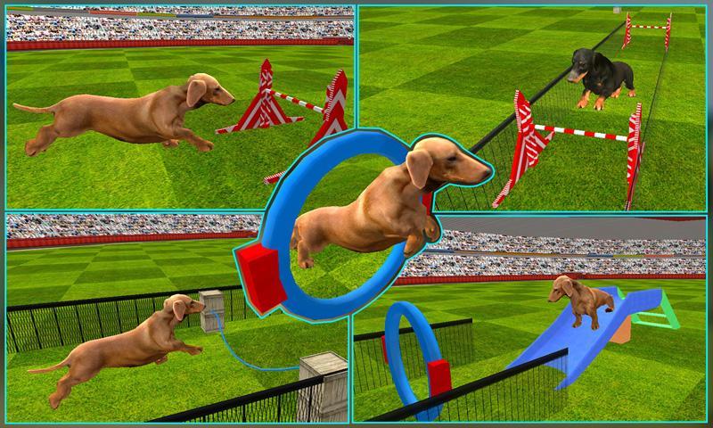 Dog Stunt Show Simulator 3D